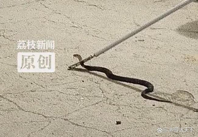热点生活 第62页