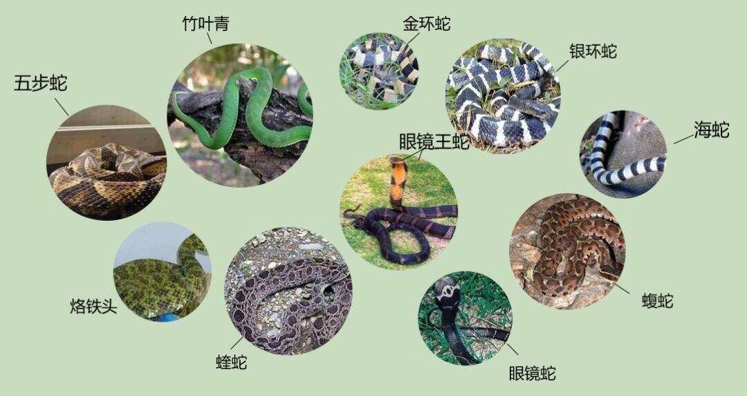 热点生活 第42页