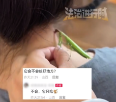 游戏专题 第41页